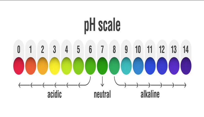 Niacinamide phù hợp sử dụng trong môi trường pH trung tính